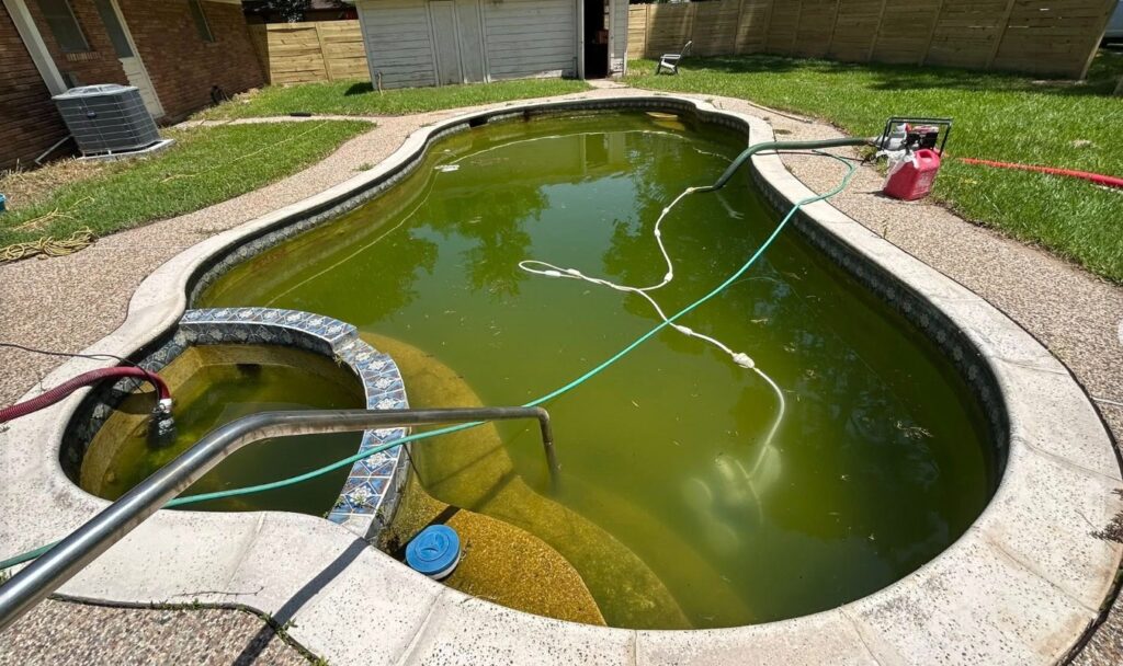 Pool Maintenance Services
