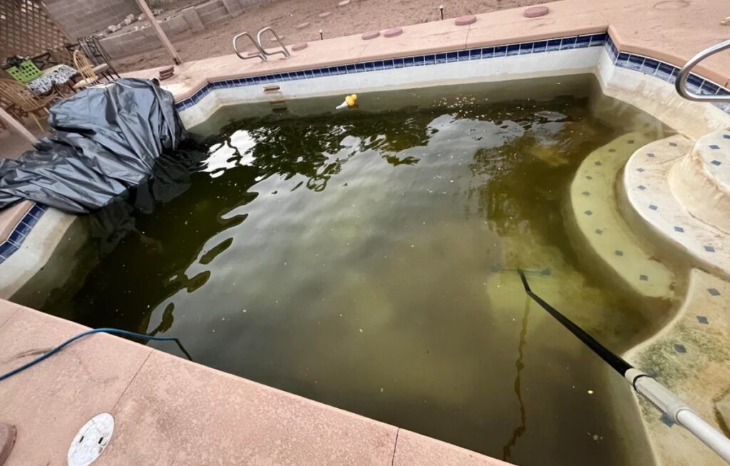 Pool cleaning and restoration services