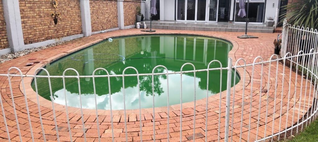 Pool caring service