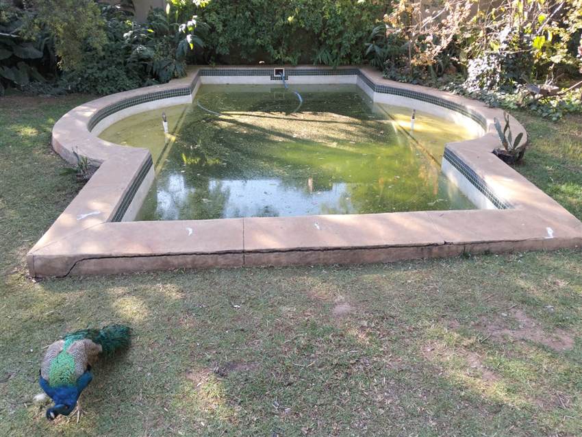 Cloudy swimming pool water after a filter backwash in Johannesburg