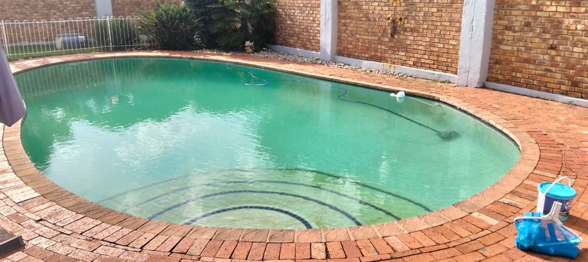 Green algae swimming pool before professional treatment in Johannesburg