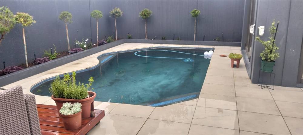 Modern swimming pool with a privacy wall and garden in Fourways